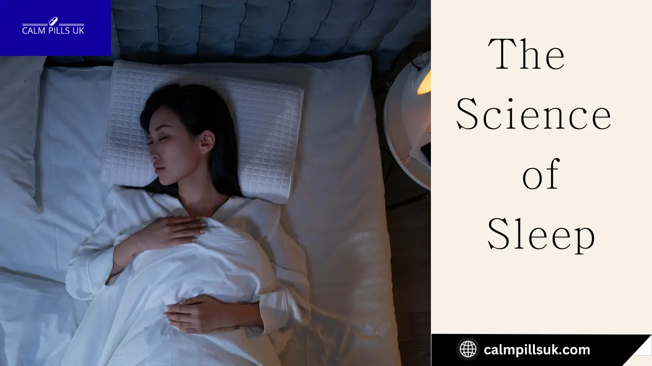 the Science of Sleep