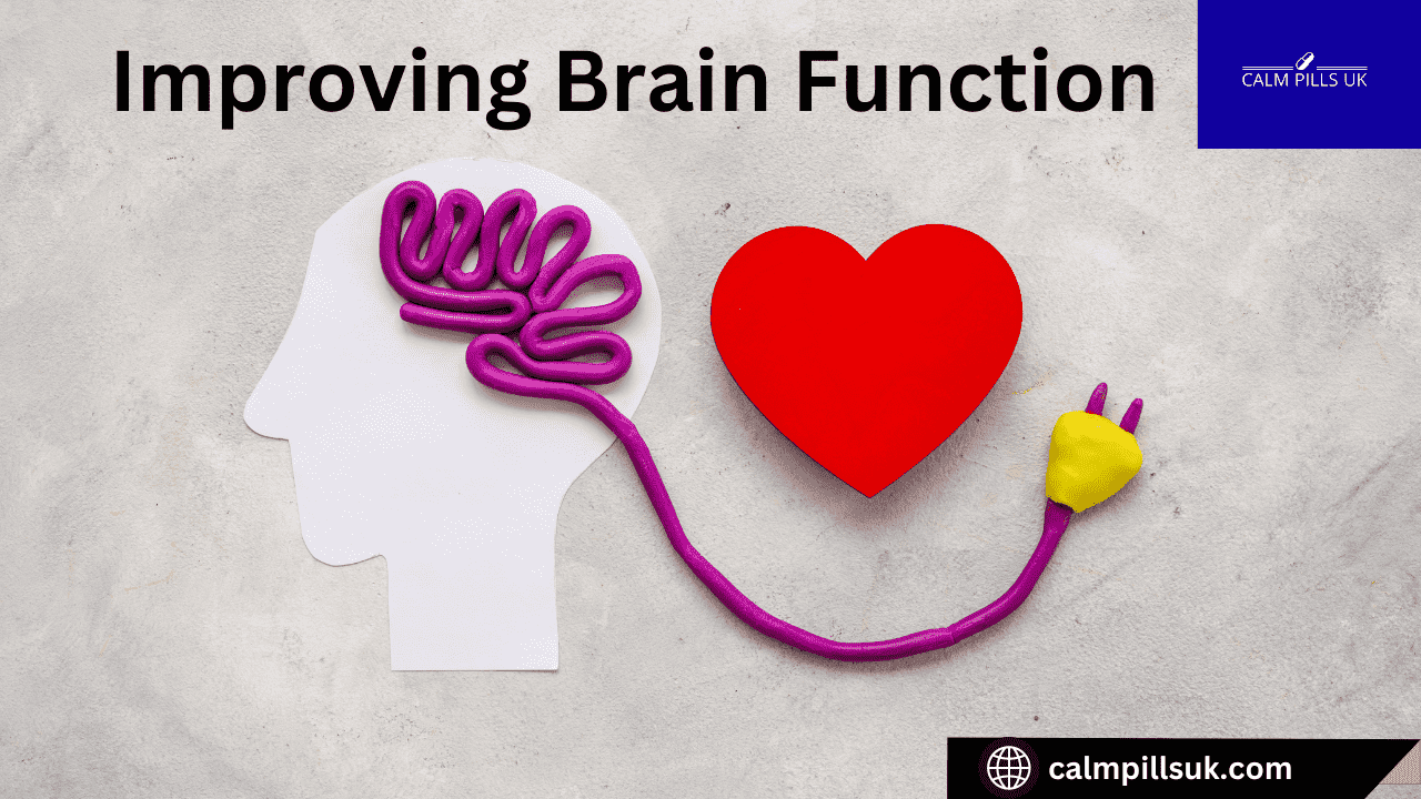 Improving Brain Function