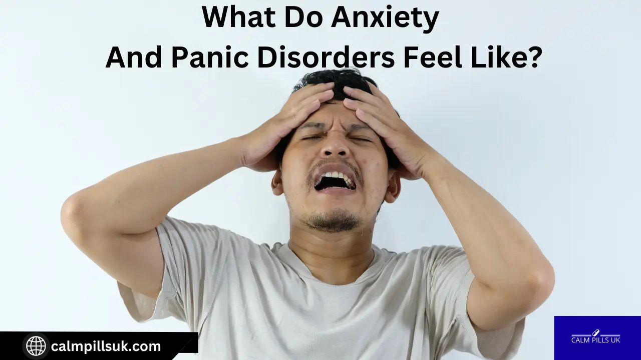 What Do Anxiety And Panic Disorders Feel Like?